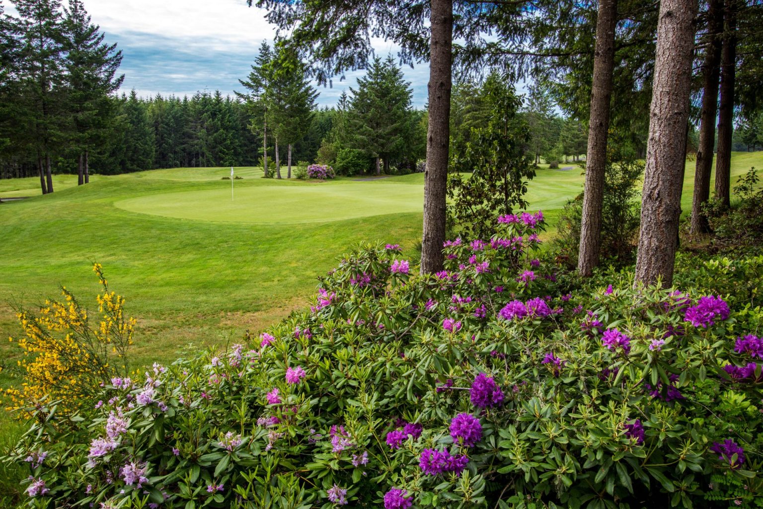 Trophy Lake Golf And Casting Seattle Golf Courses